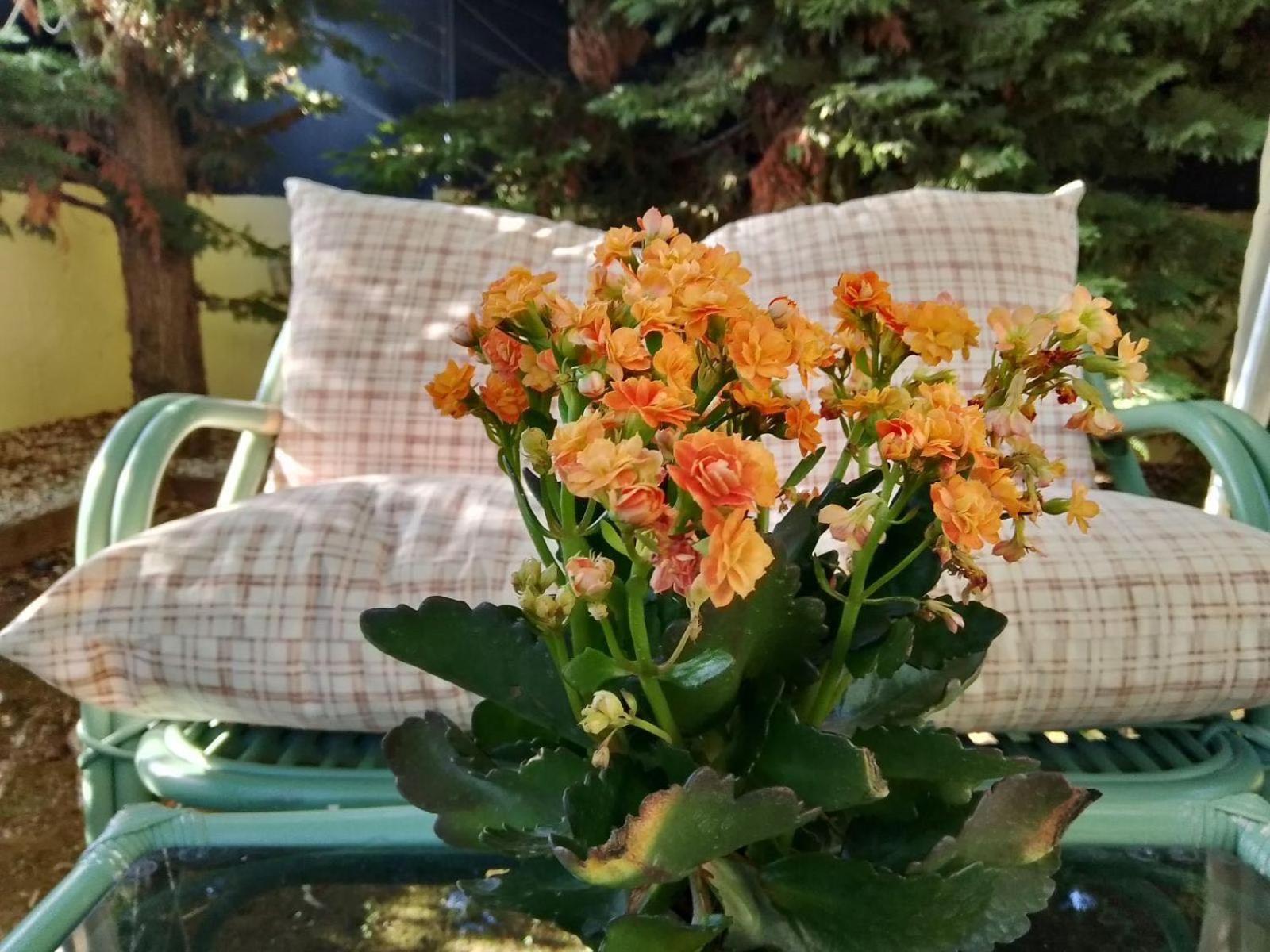 Like My Home อาร์เตมีดา ภายนอก รูปภาพ